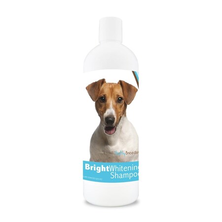 Healthy Breeds 12 oz Jack Russell Terrier Bright Whitening Shampoo 840235117582